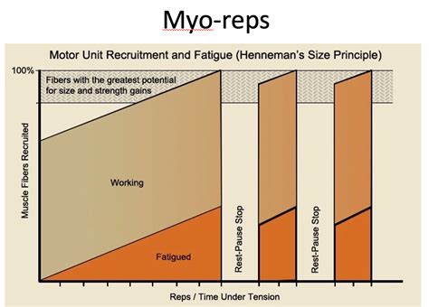 are myo reps only for accessories